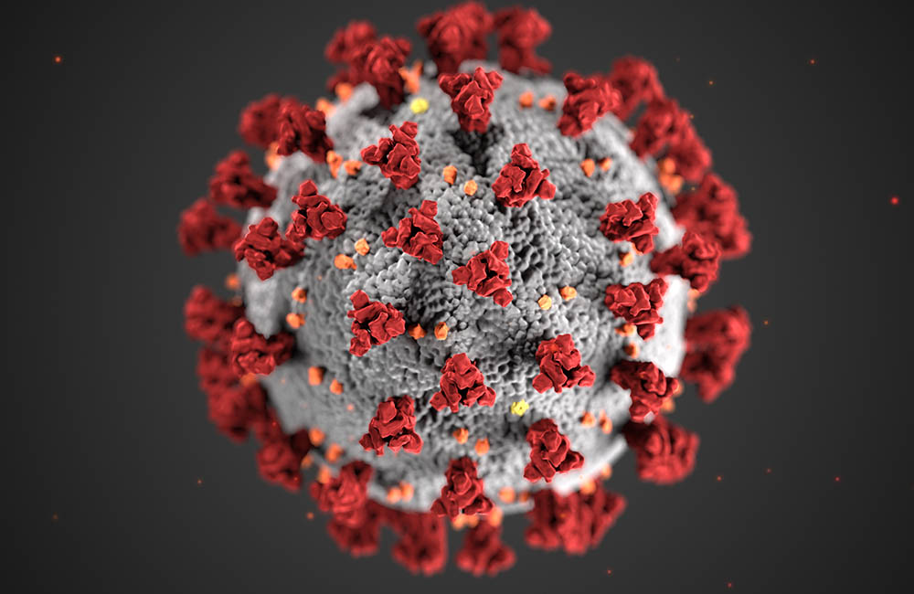 Close-up of coronavirus.