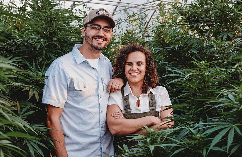 allan gandelman and karli miller-hornick, co-founders of head and heal, stand amongst hemp plants